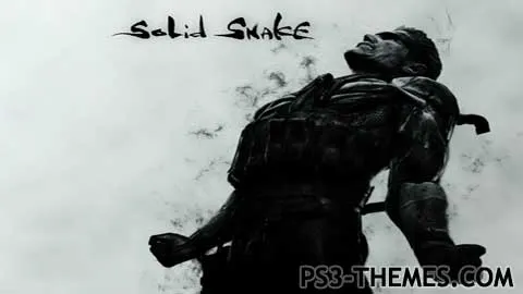 MGS4