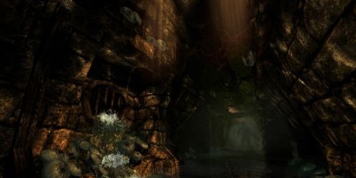 Amnesia Collection