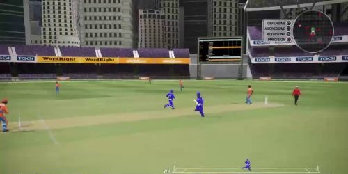 Ashes Cricket