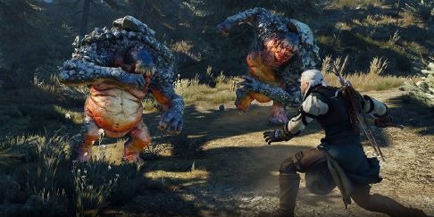 The Witcher 3 Wild Hunt Complete Edition