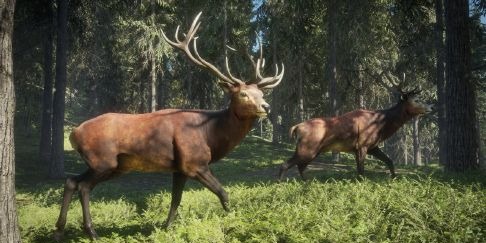 TheHunter Call of The Wild