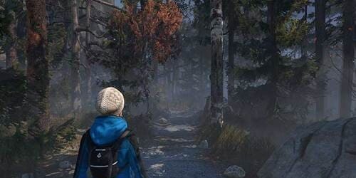 Through The Woods