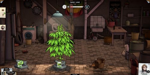 Weedcraft Inc