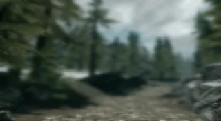 The Elder Scrolls V: Skyrim